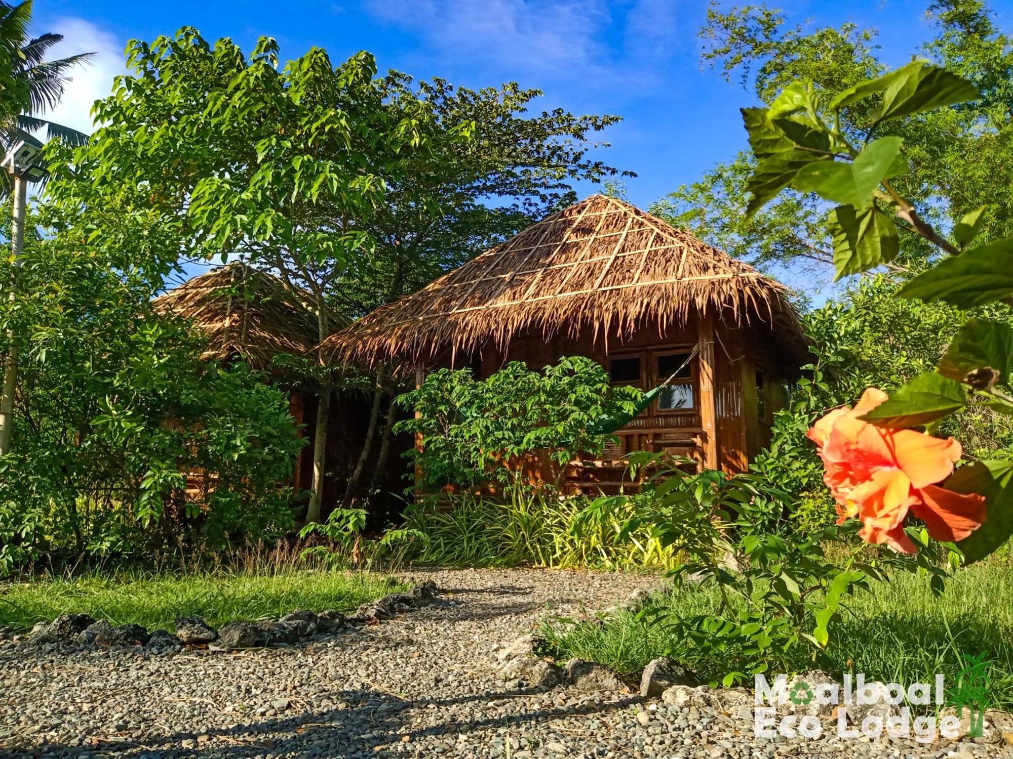 Moalboal Eco Lodge Εξωτερικό φωτογραφία